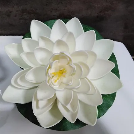 Radmanovac 2 Apartament Vrnjačka Banja