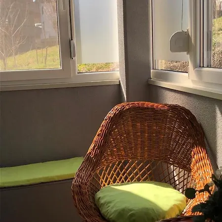 Apartament Radmanovac 2 *