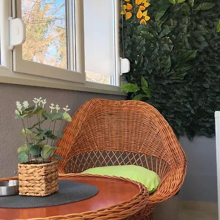 Radmanovac 2 شقة Vrnjačka Banja