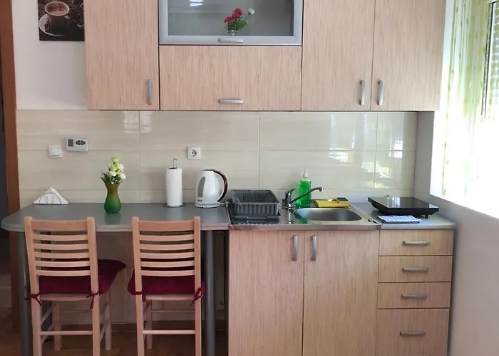 Apartament Radmanovac 2 *