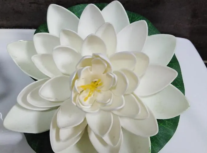 Radmanovac 2 Apartament Vrnjačka Banja